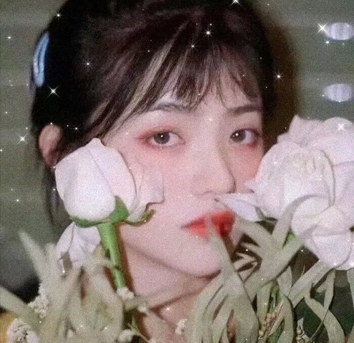 老虎搏懵